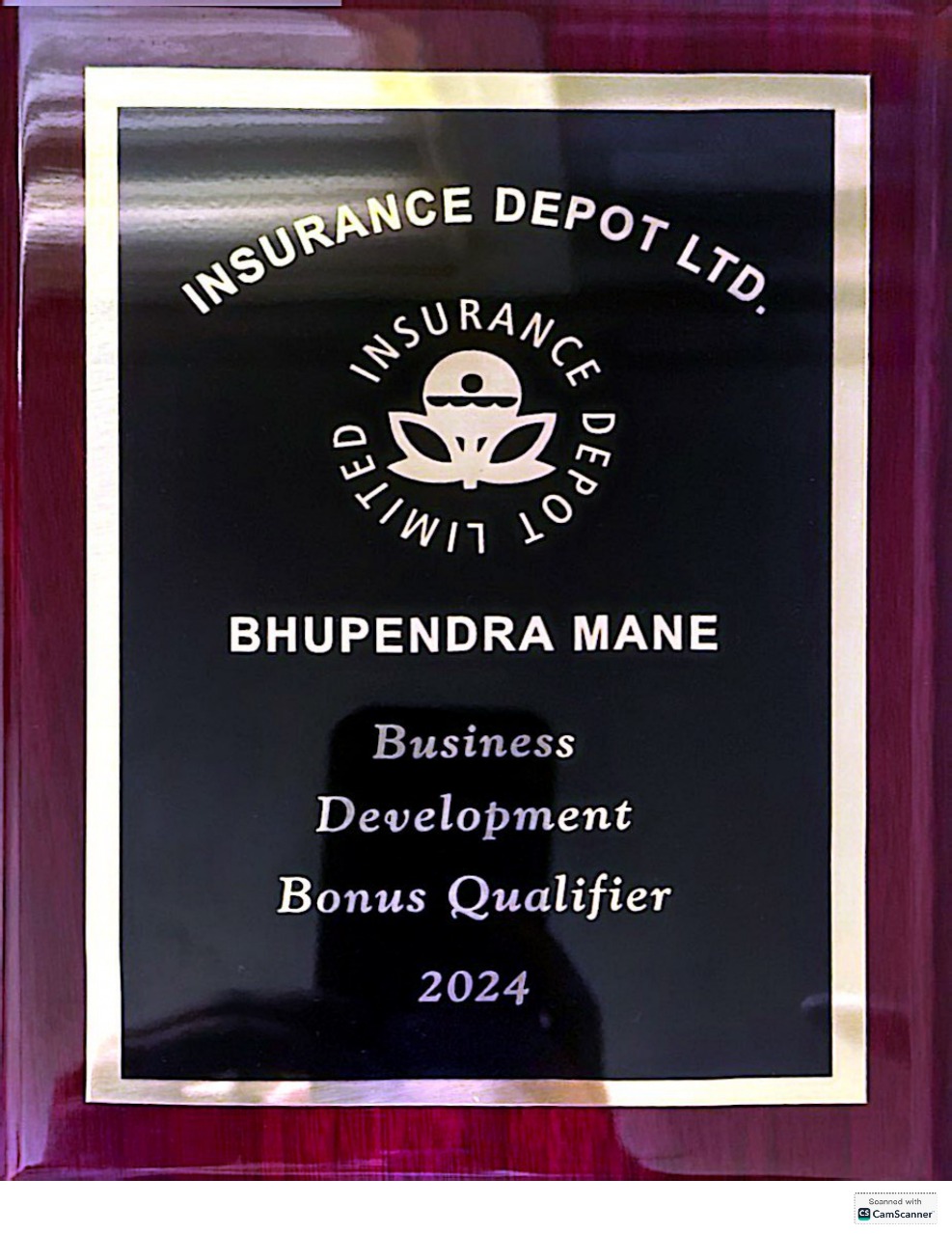 Insurance Depot Award